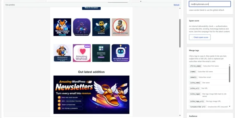 Amazing WordPress Newsletters preview campaign