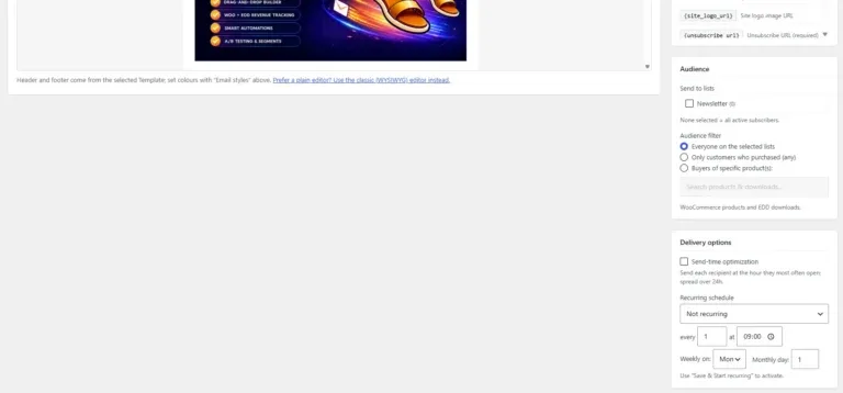 Amazing WordPress Newsletters audience and delivery