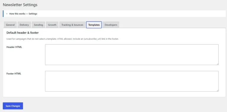 Amazing WordPress Newsletters global header and footer templates settings