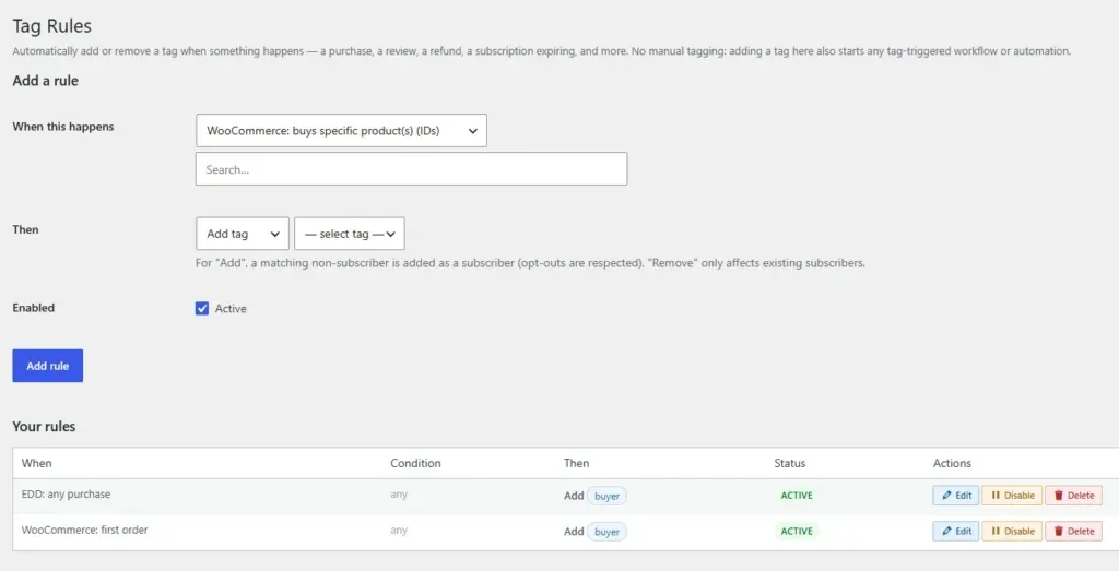 Amazing WordPress Newsletters  tag rules