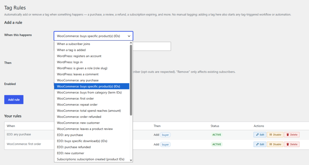 Amazing WordPress Newsletters tag rules triggers