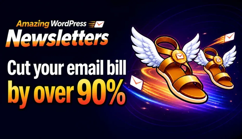 Amazing WordPress Newsletters case study