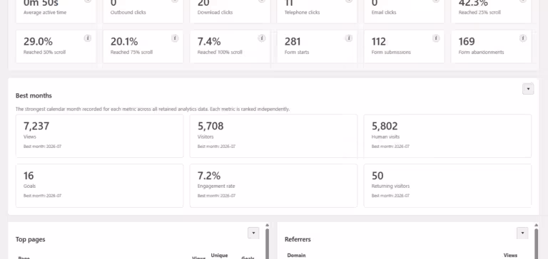 Amazing WP Analytics best month panel