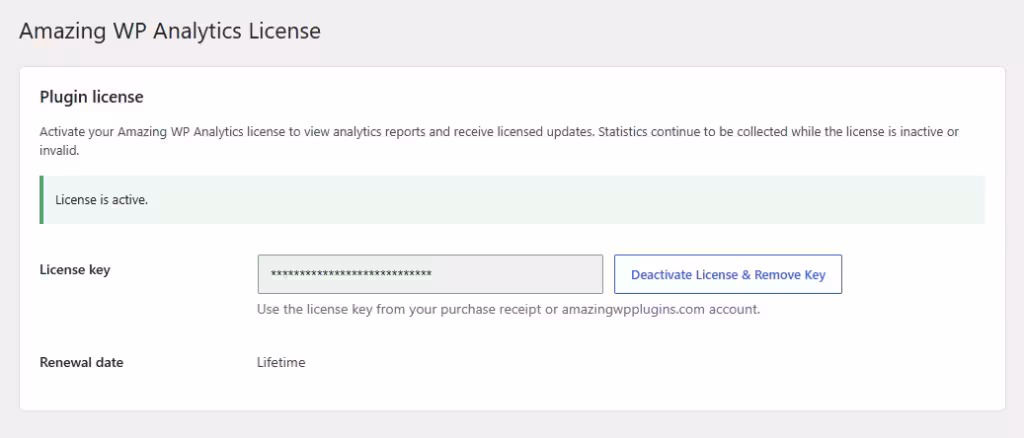 Amazing WP Analytics license